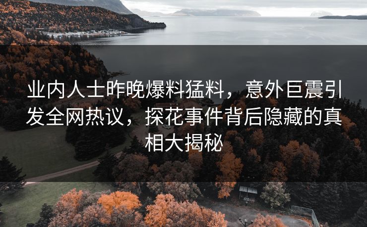 业内人士昨晚爆料猛料，意外巨震引发全网热议，探花事件背后隐藏的真相大揭秘