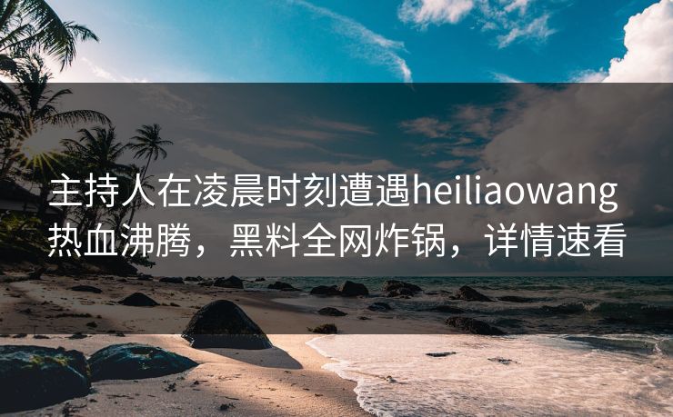 主持人在凌晨时刻遭遇heiliaowang 热血沸腾，黑料全网炸锅，详情速看