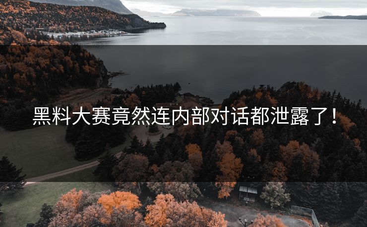 黑料大赛竟然连内部对话都泄露了！