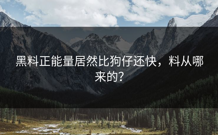 黑料正能量居然比狗仔还快，料从哪来的？