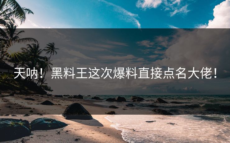 天呐！黑料王这次爆料直接点名大佬！