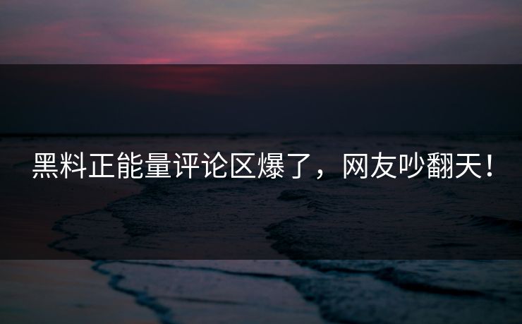 黑料正能量评论区爆了，网友吵翻天！