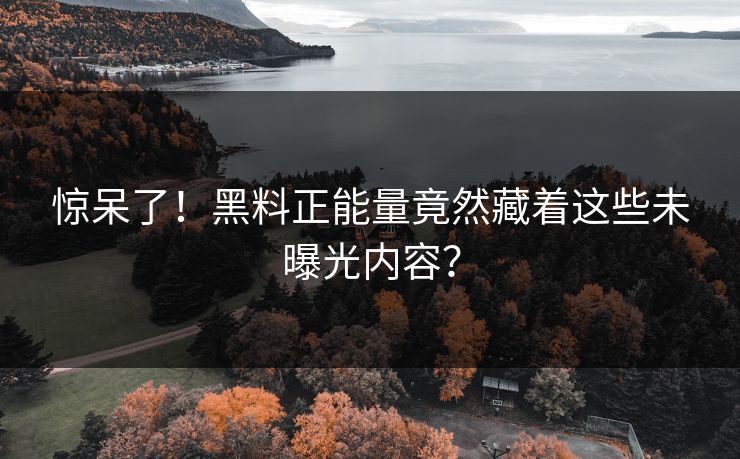 惊呆了！黑料正能量竟然藏着这些未曝光内容？