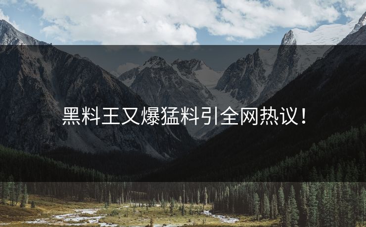 黑料王又爆猛料引全网热议！