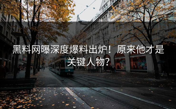 黑料网曝深度爆料出炉！原来他才是关键人物？