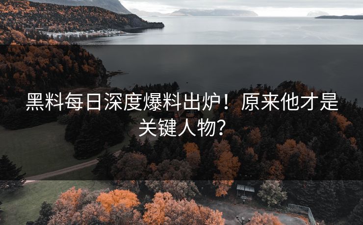黑料每日深度爆料出炉！原来他才是关键人物？