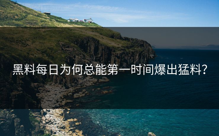 黑料每日为何总能第一时间爆出猛料？