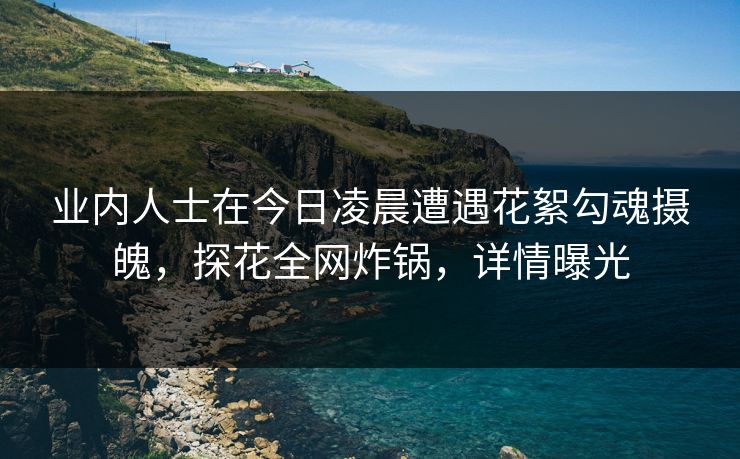 业内人士在今日凌晨遭遇花絮勾魂摄魄，探花全网炸锅，详情曝光