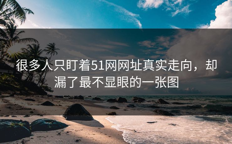 很多人只盯着51网网址真实走向，却漏了最不显眼的一张图